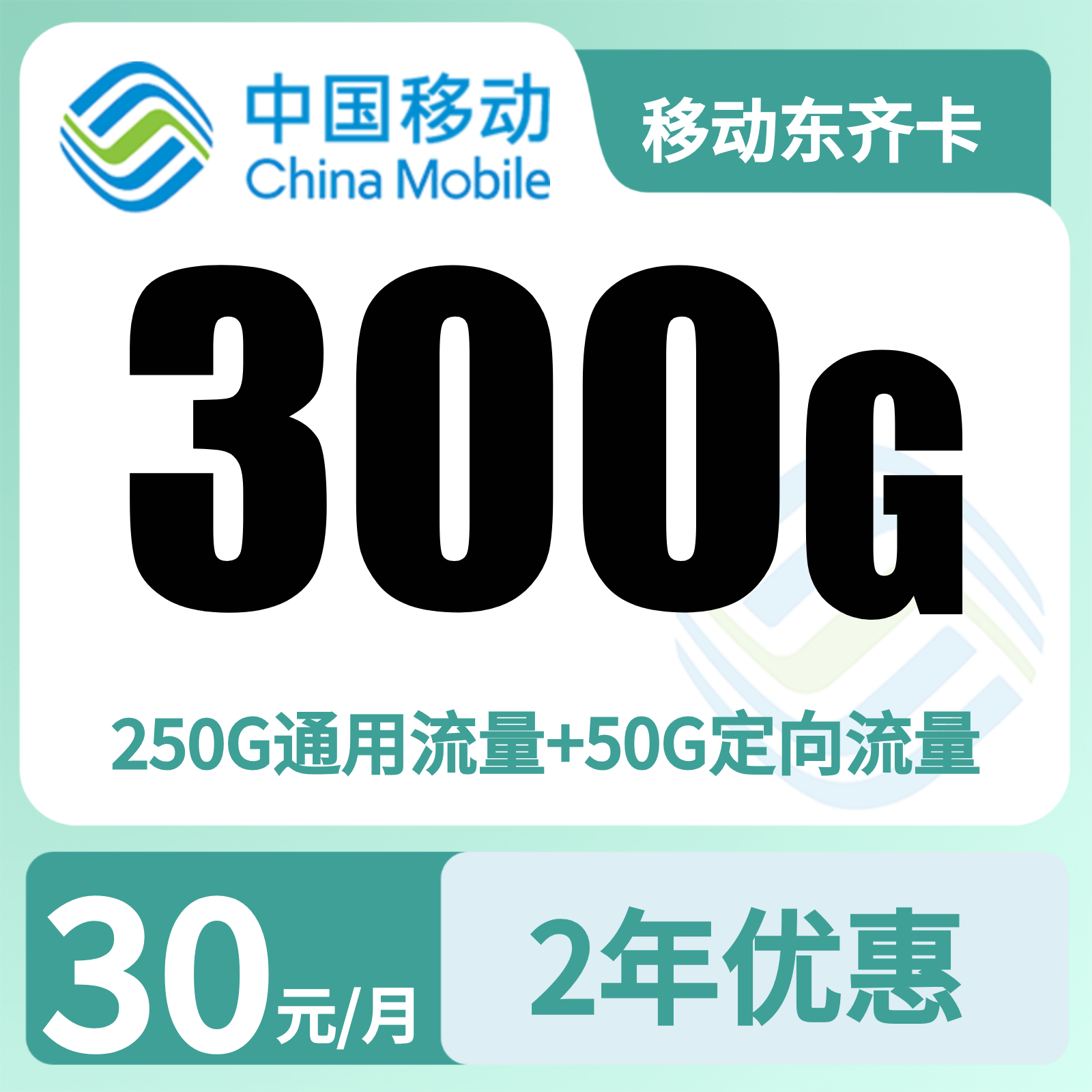 移动东齐卡30元300G+100分钟【只发山东】