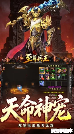 至尊兵王截图4