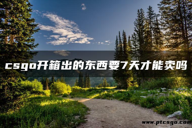 csgo开箱出的东西要7天才能卖吗