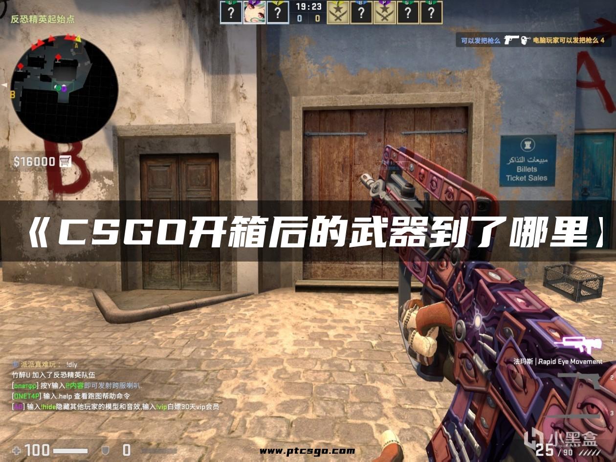 《CSGO开箱后的武器到了哪里》