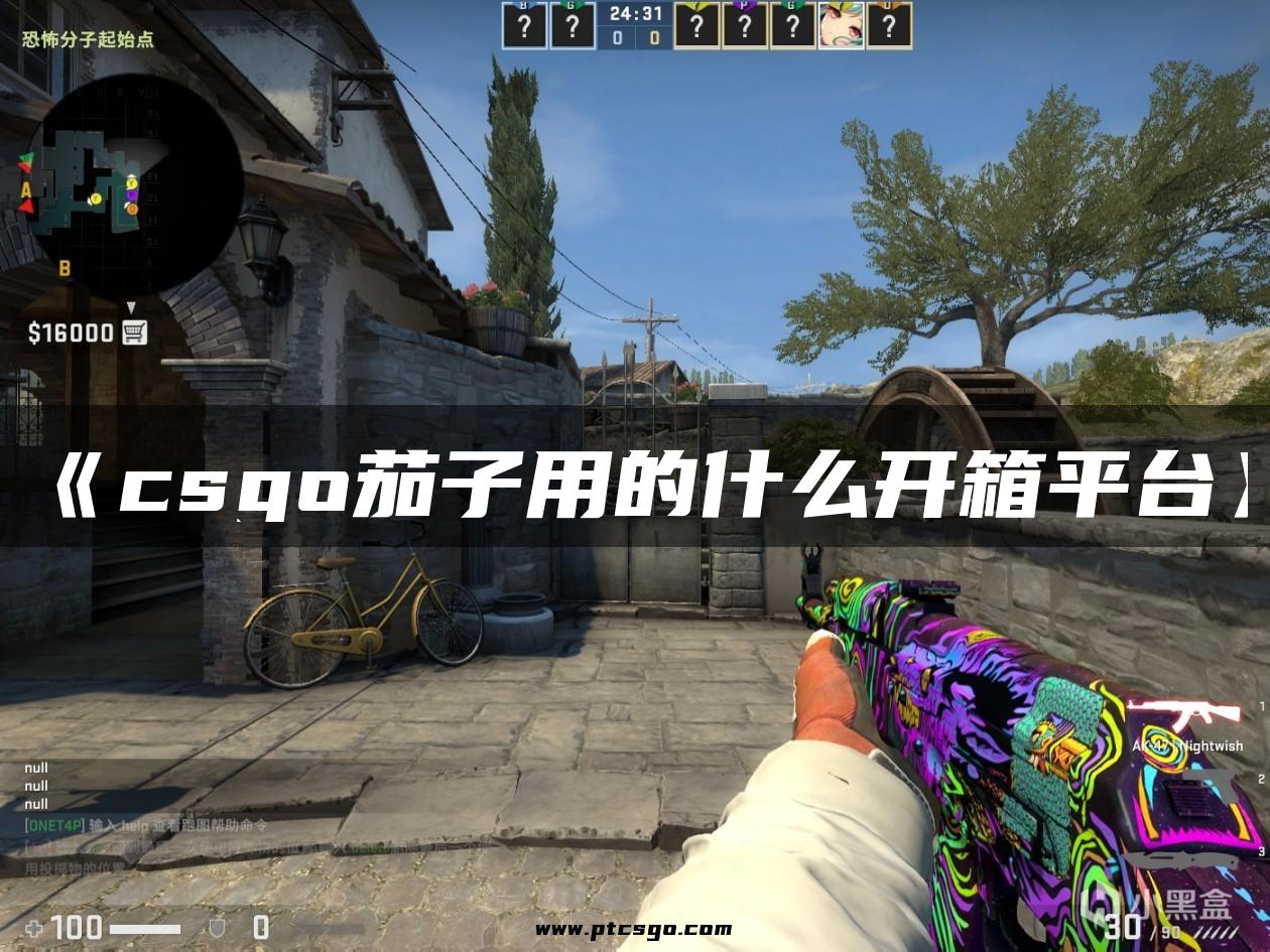 《csgo茄子用的什么开箱平台》