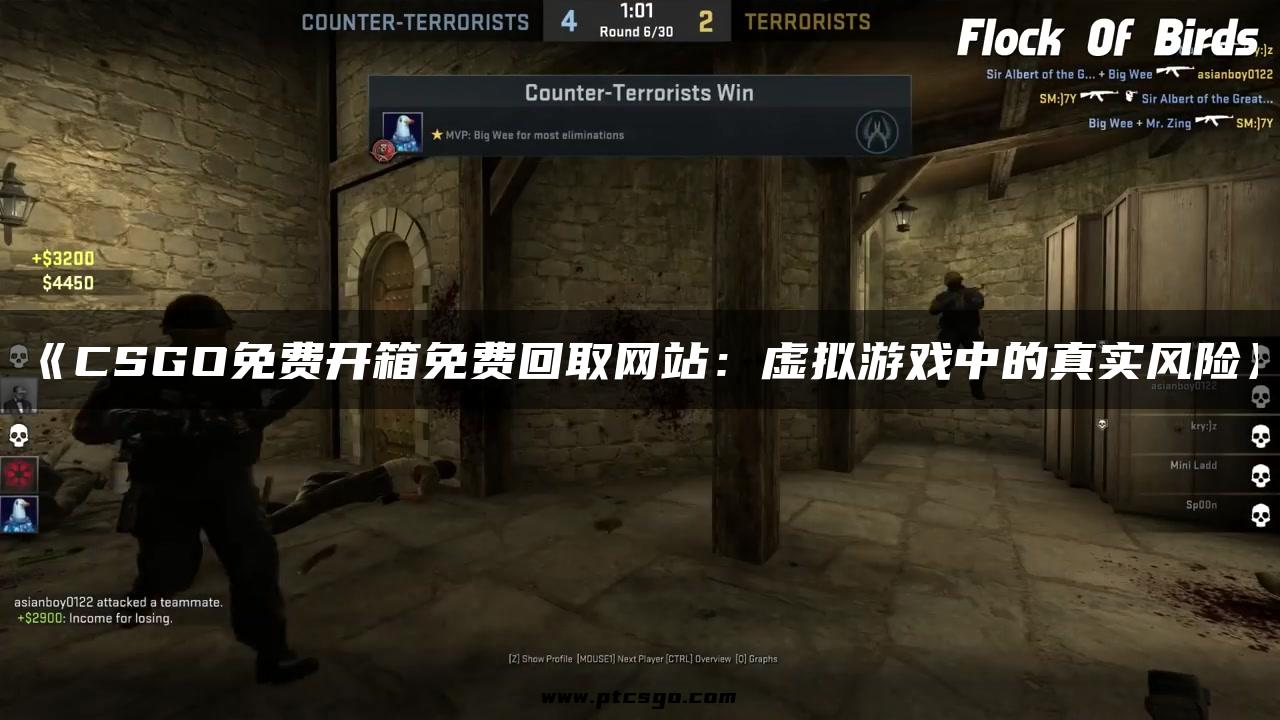 《CSGO免费开箱免费回取网站：虚拟游戏中的真实风险》