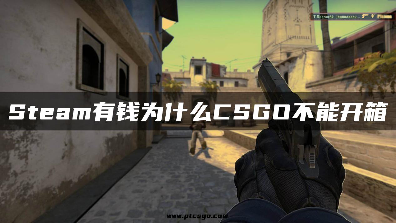 Steam有钱为什么CSGO不能开箱