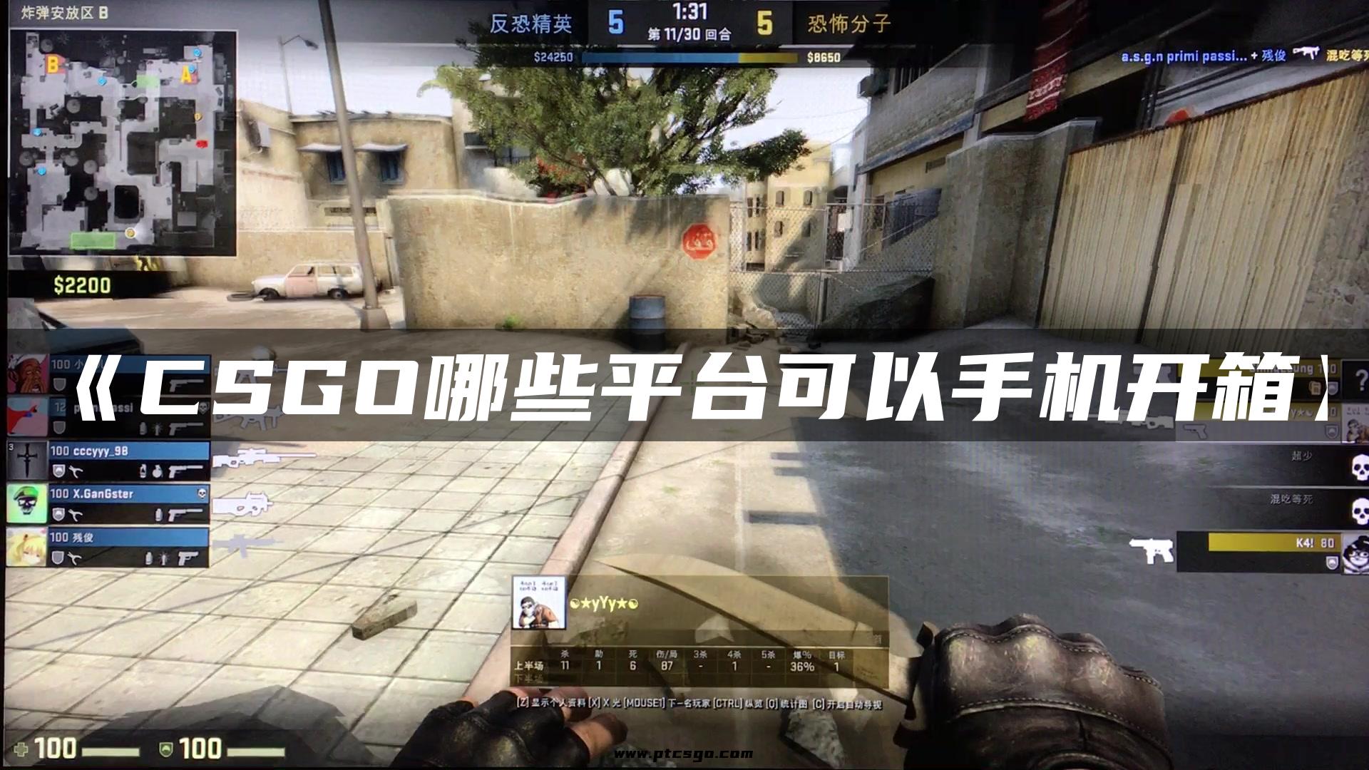 《CSGO哪些平台可以手机开箱》