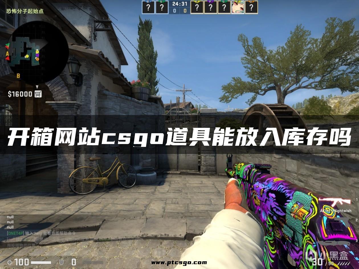 开箱网站csgo道具能放入库存吗