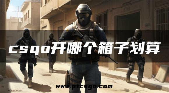 csgo开哪个箱子划算