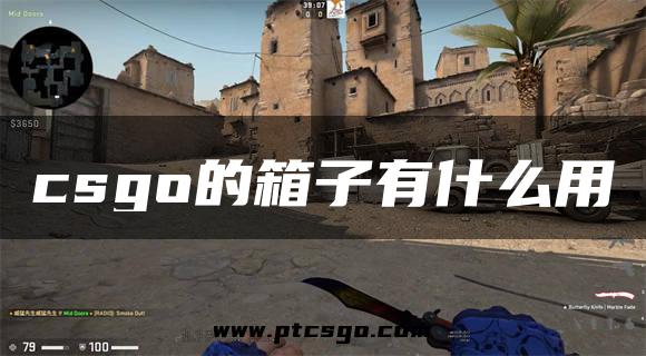 csgo的箱子有什么用