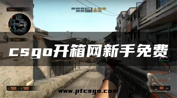 csgo开箱网新手免费