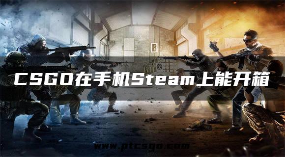 CSGO在手机Steam上能开箱