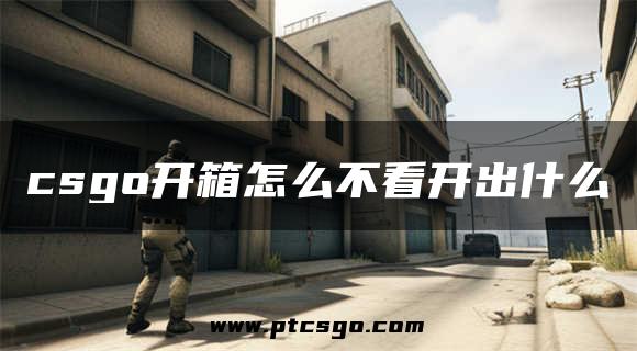 csgo开箱怎么不看开出什么