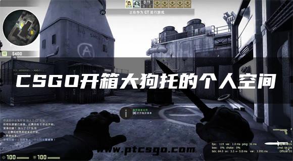 CSGO开箱大狗托的个人空间