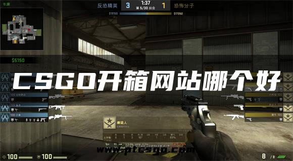 CSGO开箱网站哪个好