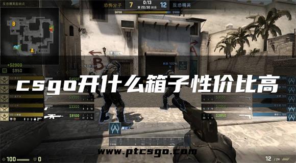 csgo开什么箱子性价比高