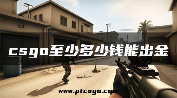 csgo至少多少钱能出金