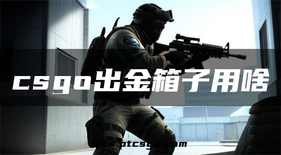 csgo出金箱子用啥