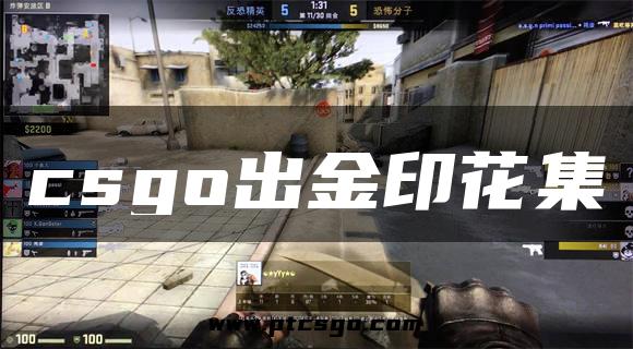 csgo出金印花集