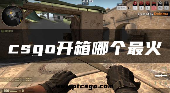 csgo开箱哪个最火