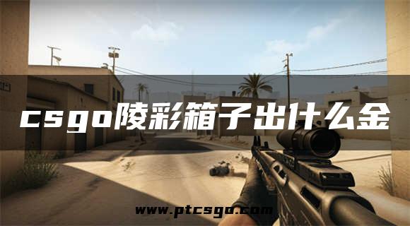 csgo陵彩箱子出什么金