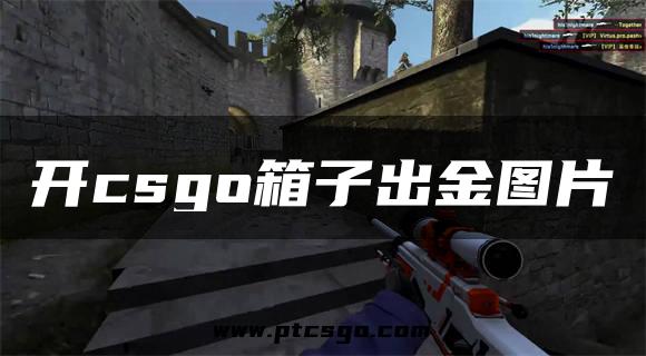 开csgo箱子出金图片