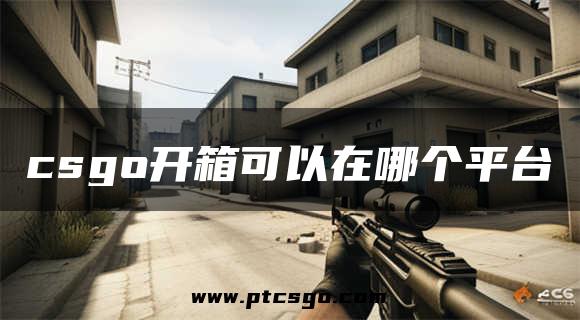 csgo开箱可以在哪个平台