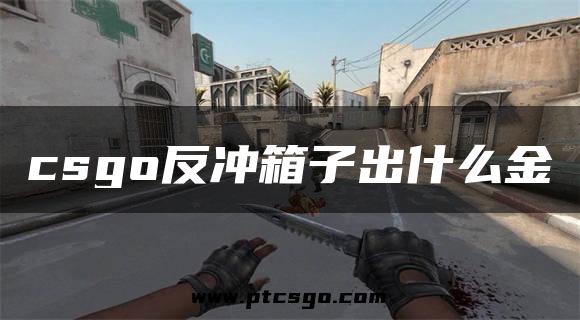 csgo反冲箱子出什么金