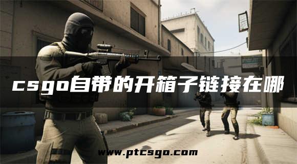 csgo自带的开箱子链接在哪