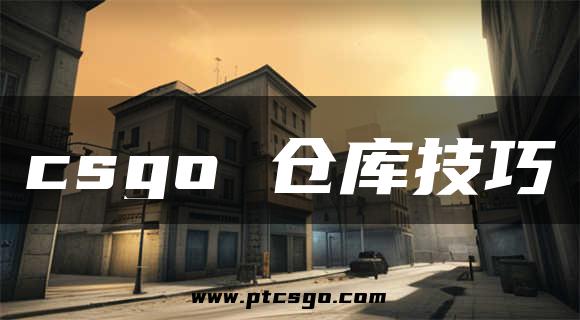 csgo 仓库技巧