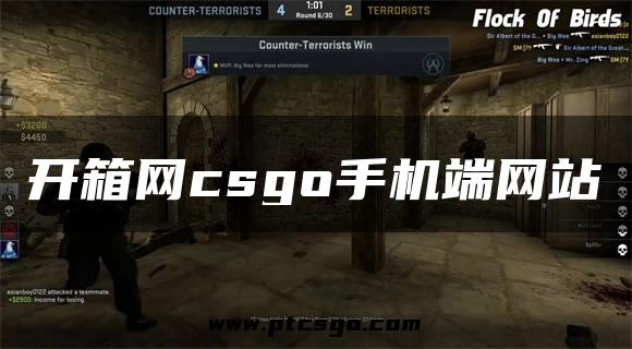 开箱网csgo手机端网站