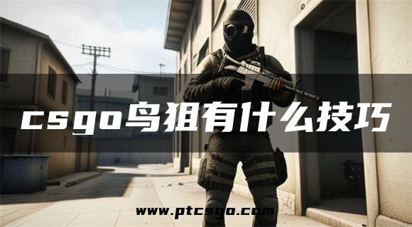 csgo鸟狙有什么技巧