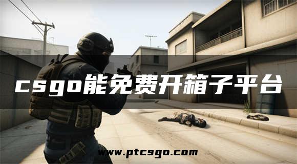 csgo能免费开箱子平台