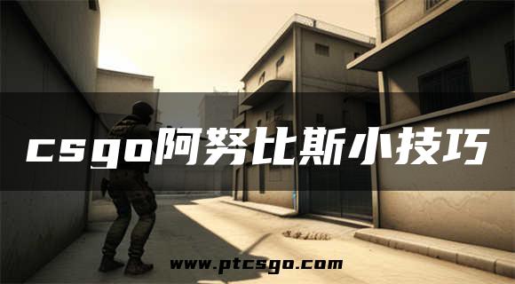 csgo阿努比斯小技巧