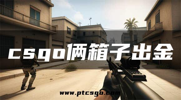 csgo俩箱子出金