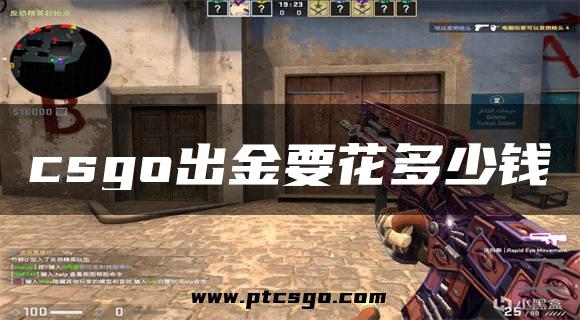 csgo出金要花多少钱