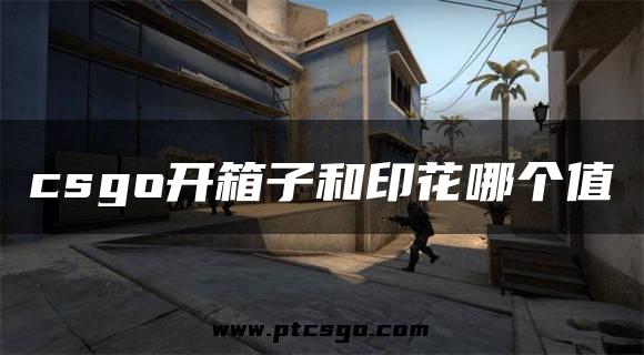 csgo开箱子和印花哪个值