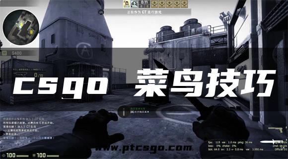 csgo 菜鸟技巧