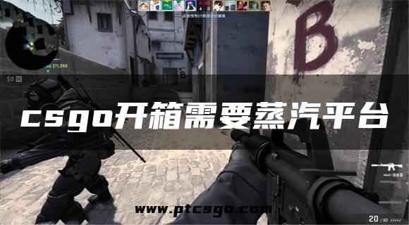 csgo开箱需要蒸汽平台