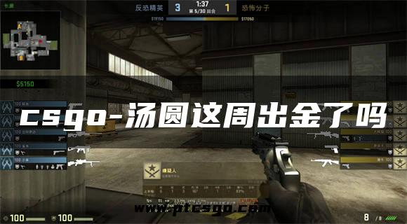 csgo-汤圆这周出金了吗