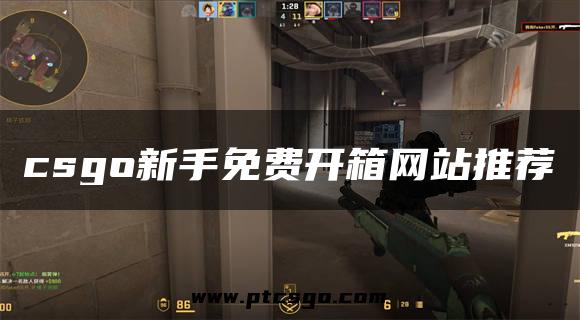 csgo新手免费开箱网站推荐