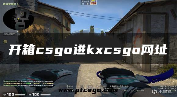 开箱csgo进kxcsgo网址