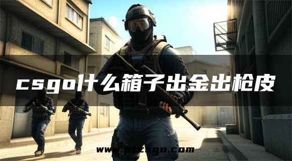 csgo什么箱子出金出枪皮