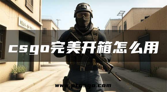 csgo完美开箱怎么用