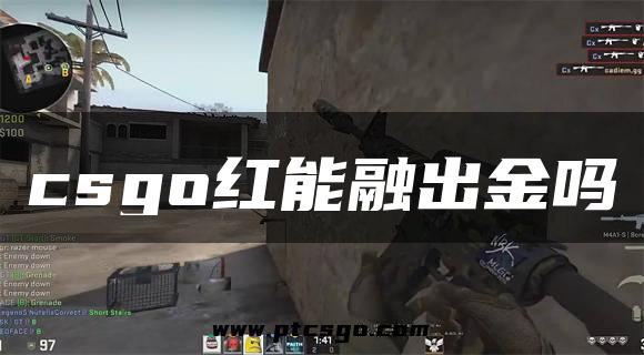 csgo红能融出金吗