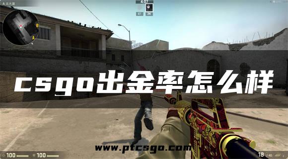 csgo出金率怎么样