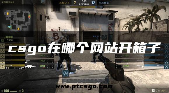 csgo在哪个网站开箱子