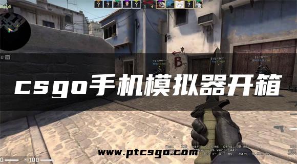 csgo手机模拟器开箱