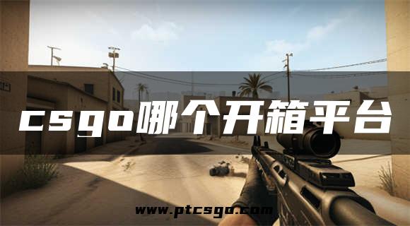 csgo哪个开箱平台