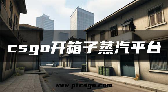 csgo开箱子蒸汽平台