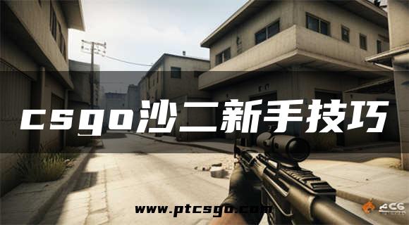 csgo沙二新手技巧