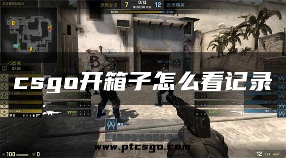 csgo开箱子怎么看记录