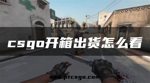 csgo开箱出货怎么看
